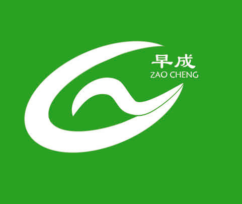 Zaocheng Silk Scarf Store